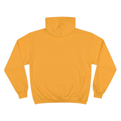 Champion Hoodie : Colorways 2